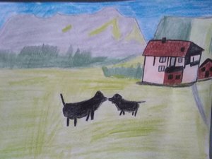 Landschaft, Haus, Berge, Hund.