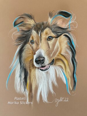 Langhaarcollie „Lassie“ Collie