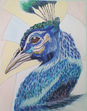 Pfau