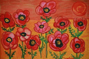 Mohnblumen im Sonnenuntergang 