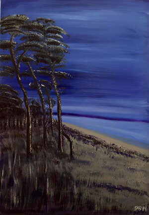 Der Darsser Weststrand zur blauen Stunde