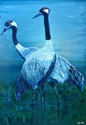 Kranichpärchen zur blauen Stunde 2