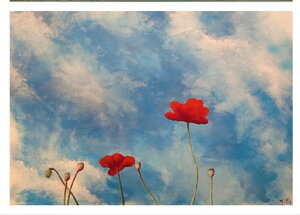 Poppies 