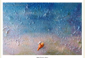 The Shell