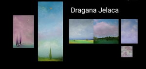 Dragana Jelaca  Collection